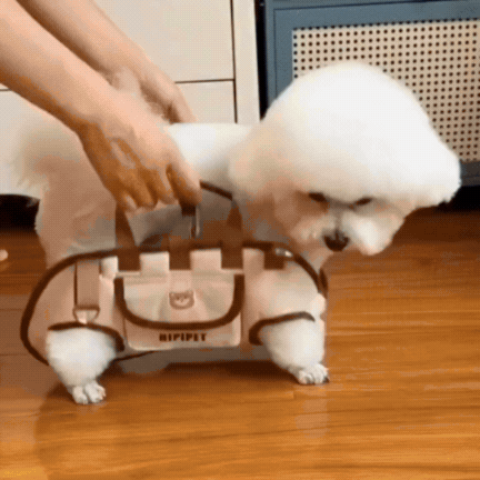 Urban Puppy™ | Take your puppy everywhere